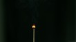 Matchstick burning in super slow motion
