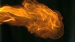 Burning fire in super slow motion