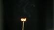 Matchstick burning in super slow motion