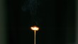 Matchstick burning in super slow motion