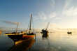Tanzanian morning