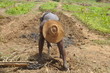 Feldarbeit in Afrika