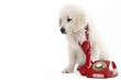 urgent call