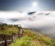 Dramatic clouds with mountain and tree
