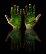 green hands reflection