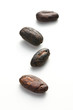 cocoa beans cocoa beans