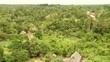 Regenwald, Amazonas