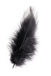 black feather
