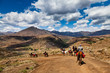 Pony trail adventure in the mountains
