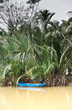 Mekong River