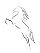 Illustration: horse horse