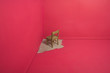 Chair painted into a corner