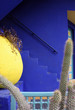 Jardins de Majorelle