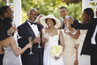 Wedding guests toasting bride and groom
