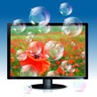 image of poppy on lcd monitor with soap bubbles