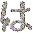 Japanese Characters hiragana, made from flower photo.