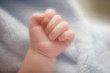 Close up of baby's hand