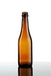 Empty bottle of beer isolated Empty bottle of beer isolated