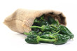 Pimientos