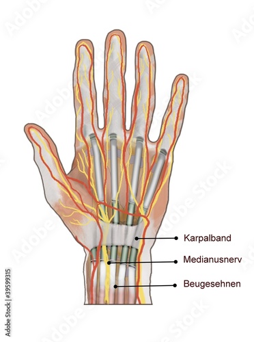 Illustration: karpaltunnel karpaltunnel