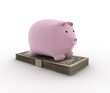 tirelire et dollars