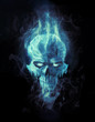 ice skull