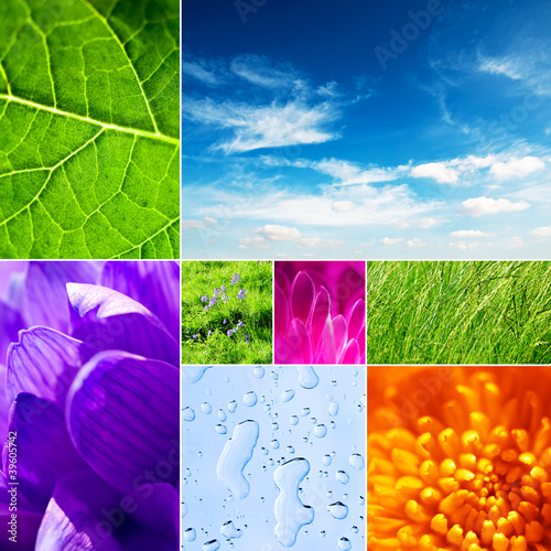 Photo: nature collage nature collage