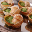 bourgogne snails