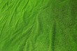 Artificial Grass