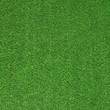 Artificial Grass