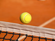 Foto: tennis ball tennis ball