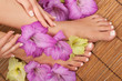 Photo en ligne au meilleur prix Pedicure Manicure Spa