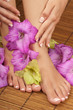Pedicure Manicure Spa