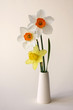 three daffodils in vase on honey background