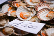 Scallops for sale at the Rialto market in Venice
