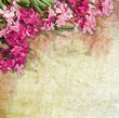 Vintage oleander frame