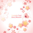Vektor: Cherry Blossoms Background Cherry Blossoms Background