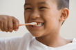 Young boy brushing his teeth