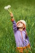 little girl with puffy dandelions in your hand