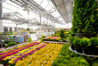 Photo: Garden centre Garden centre