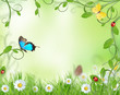 Illustration: Beautiful spring background Beautiful spring background