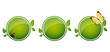 green button set