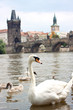 Prague. Charles Bridge in Prague  Czech Republic