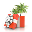 Palm tree from the gift box