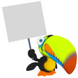 Toucan
