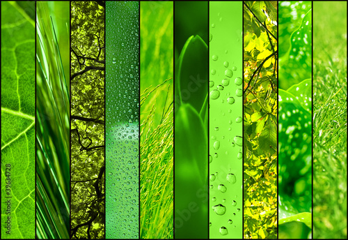 Foto: green collage green collage