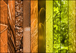 abstract nature collage
