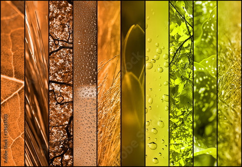 Photo: abstract nature collage abstract nature collage