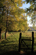 Goldener Oktober