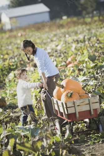 Photo: Asian sisters pulling wagon through pumpkin patch Asian sisters pulling wagon through pumpkin patch